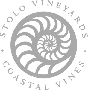 Stolo Vineyards logo